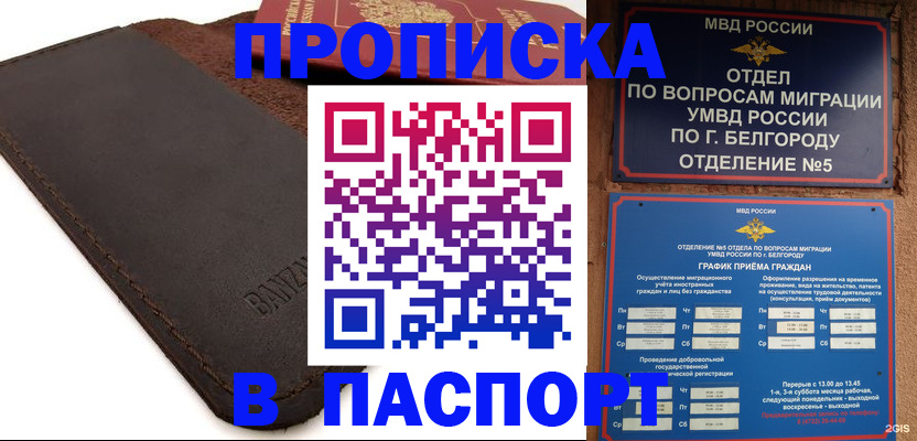 временная регистрация гарантия в Шали